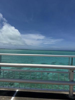 IMG_3912.jpeg